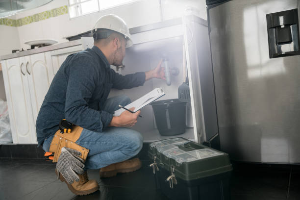 Best Affordable Plumbing Services  in Lake Catherine, IL