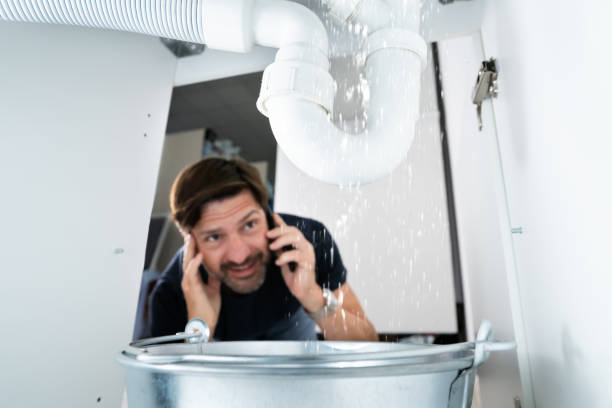 Best Plumbing Services Near Me  in Lake Catherine, IL