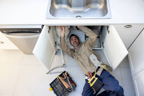 Best Boilers & Radiators  in Lake Catherine, IL