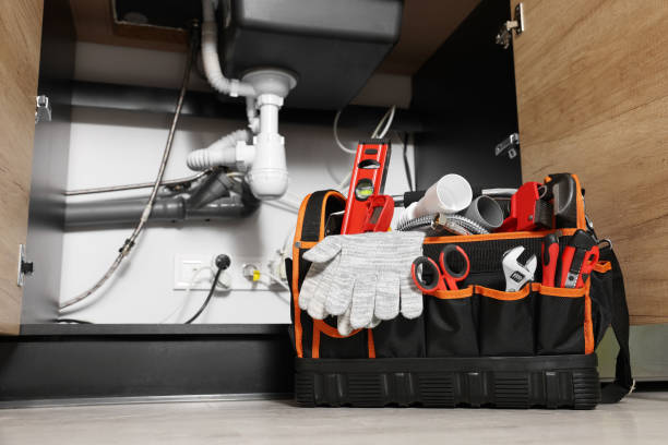 Best Sprinkler Systems  in Lake Catherine, IL