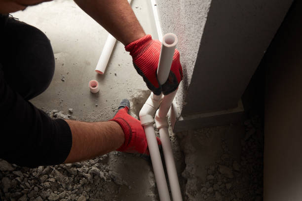 Best Plumbing Inspection Services  in Lake Catherine, IL