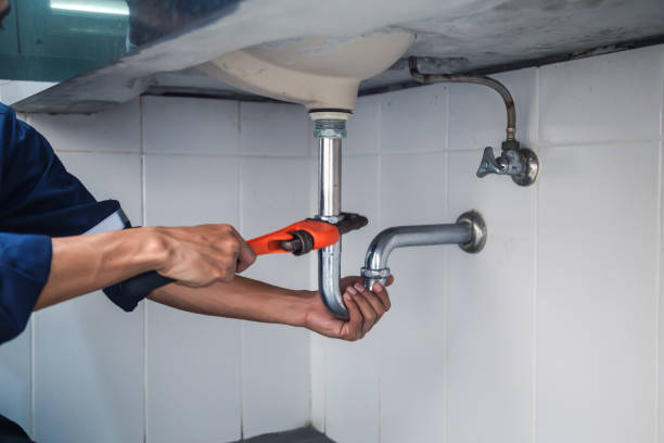 Best Clogged Drain Plumber  in Lake Catherine, IL