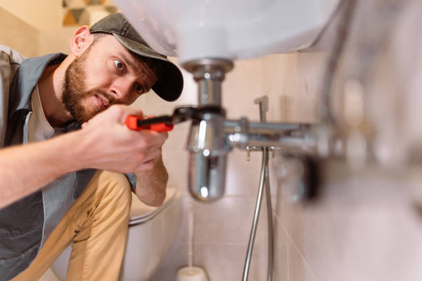Best Drain Cleaning Services  in Lake Catherine, IL