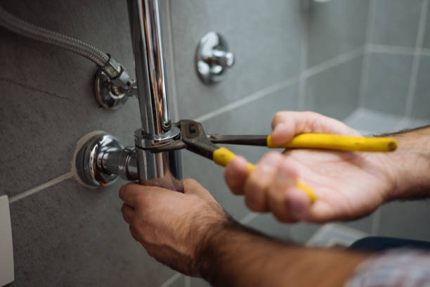 Best Leak Detection Services  in Lake Catherine, IL