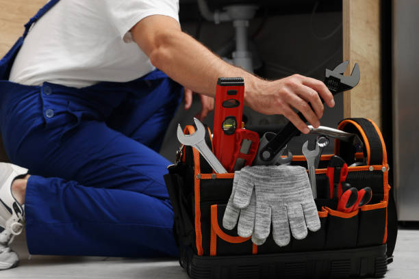 Best Emergency Plumbing Repair  in Lake Catherine, IL