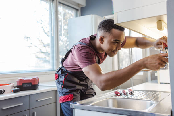Best Same-Day Plumbing Service  in Lake Catherine, IL