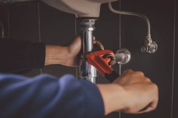 Best Septic Systems  in Lake Catherine, IL