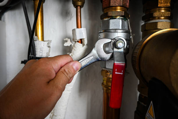 Best Hot Water Heater Installation  in Lake Catherine, IL